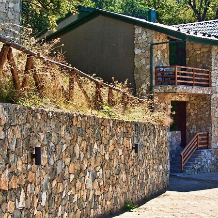 Dilijan Villa 12 외부 사진